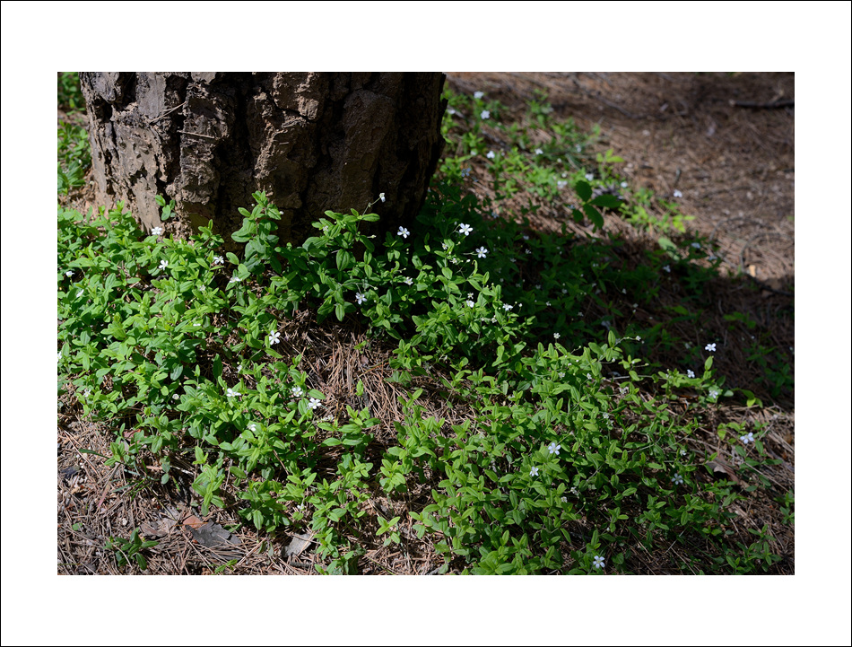 DSC_3224.jpg