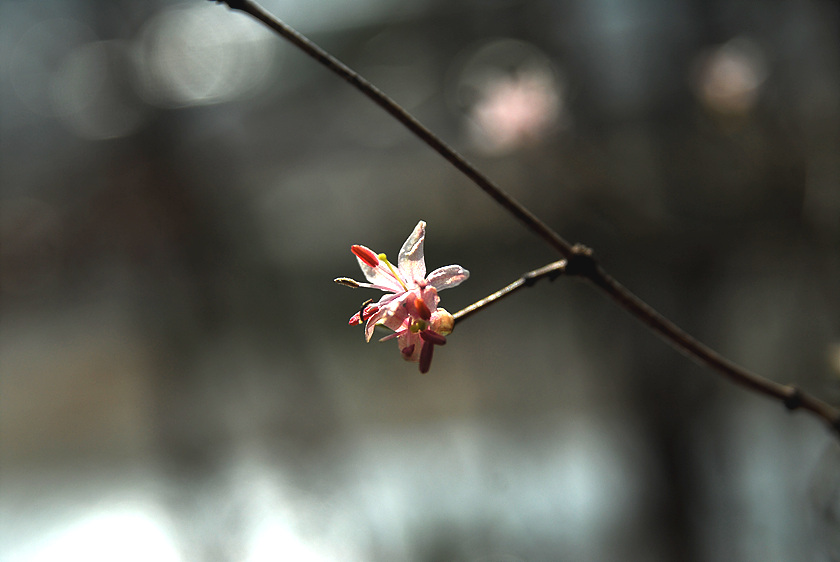 DSC_8815.jpg