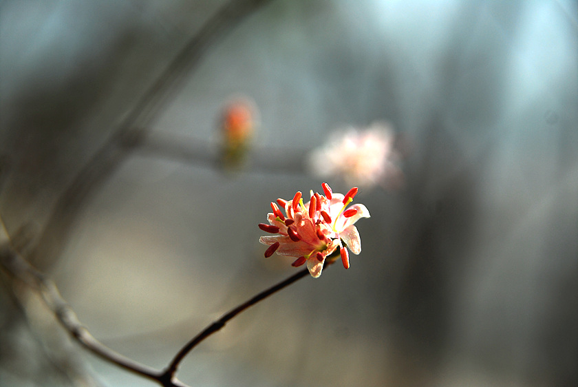 DSC_8820.jpg