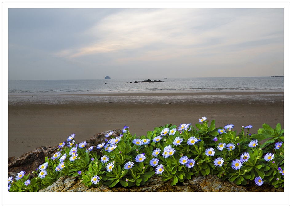 _E2A8712-원본1.jpg