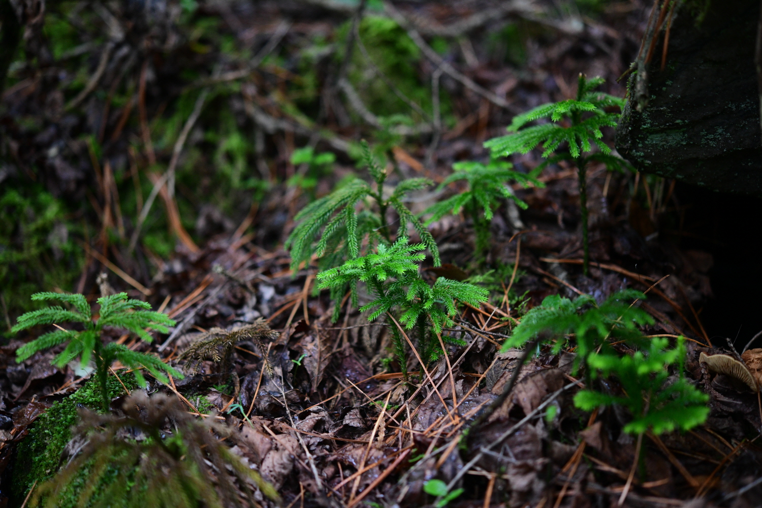 크기변환_DSC_2642.JPG