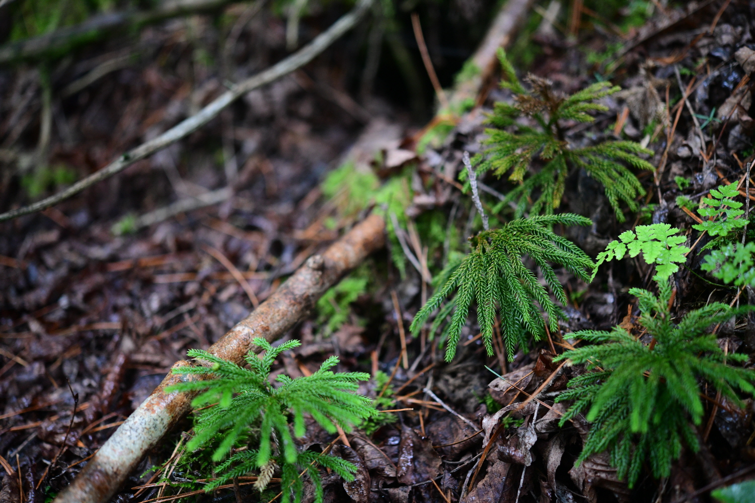 크기변환_DSC_2645.JPG