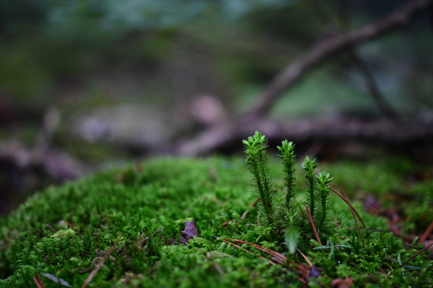 크기변환_DSC_2256.JPG