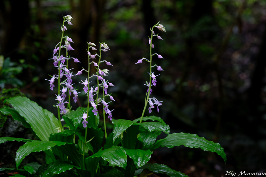48D23961-B33D-40AB-A08D-39F4FBCD9F9A.jpeg