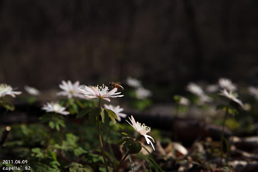 0409-15.jpg
