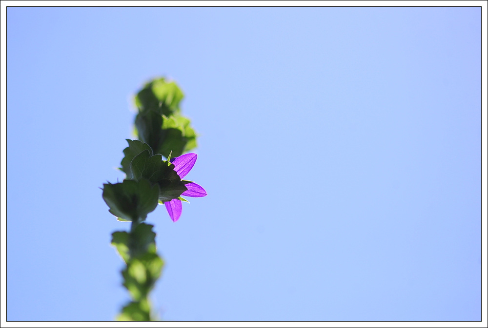 DSC_3135.jpg