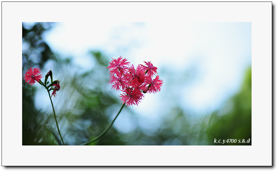 KCY_6846.jpg