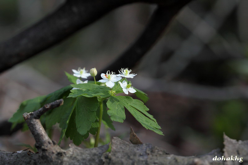 DPP_00088.jpg