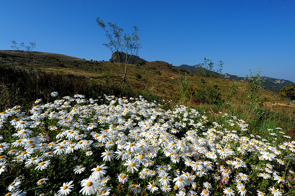 2011.10.8 (255).jpg