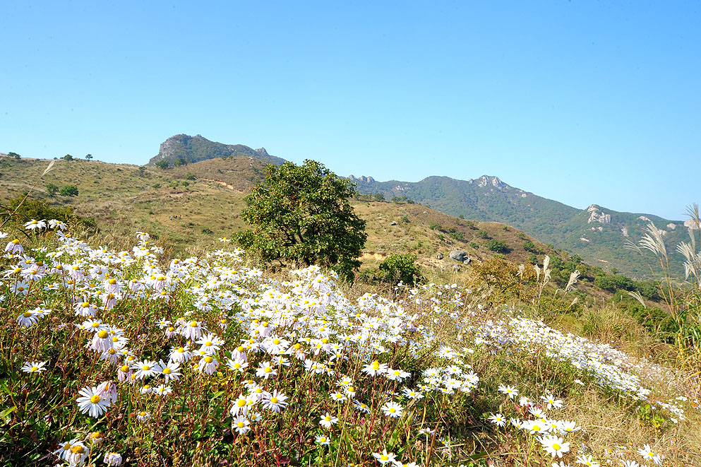 2011.10.8 (289).jpg