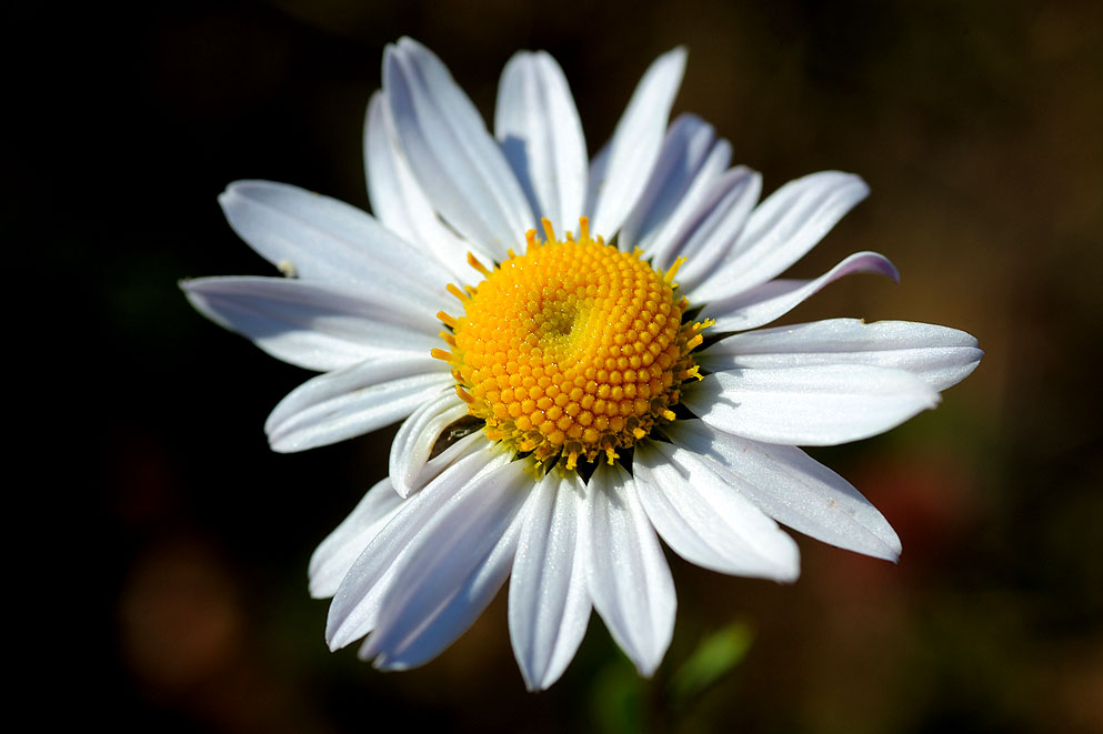 2011.10.8 (229).jpg