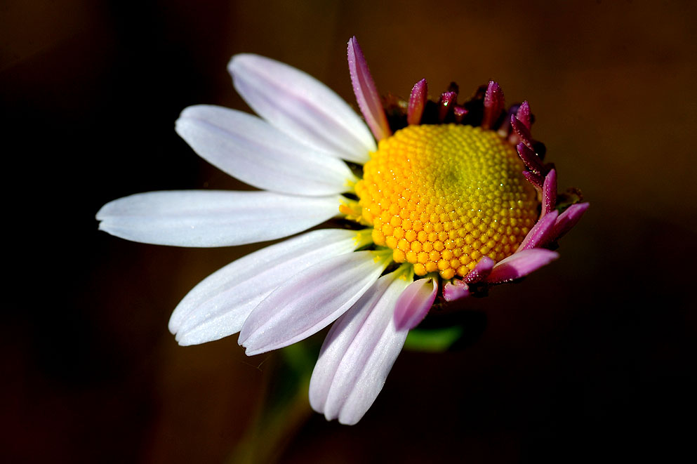 2011.10.8 (227).jpg
