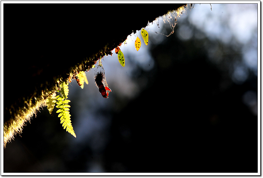 DSC_1717.jpg
