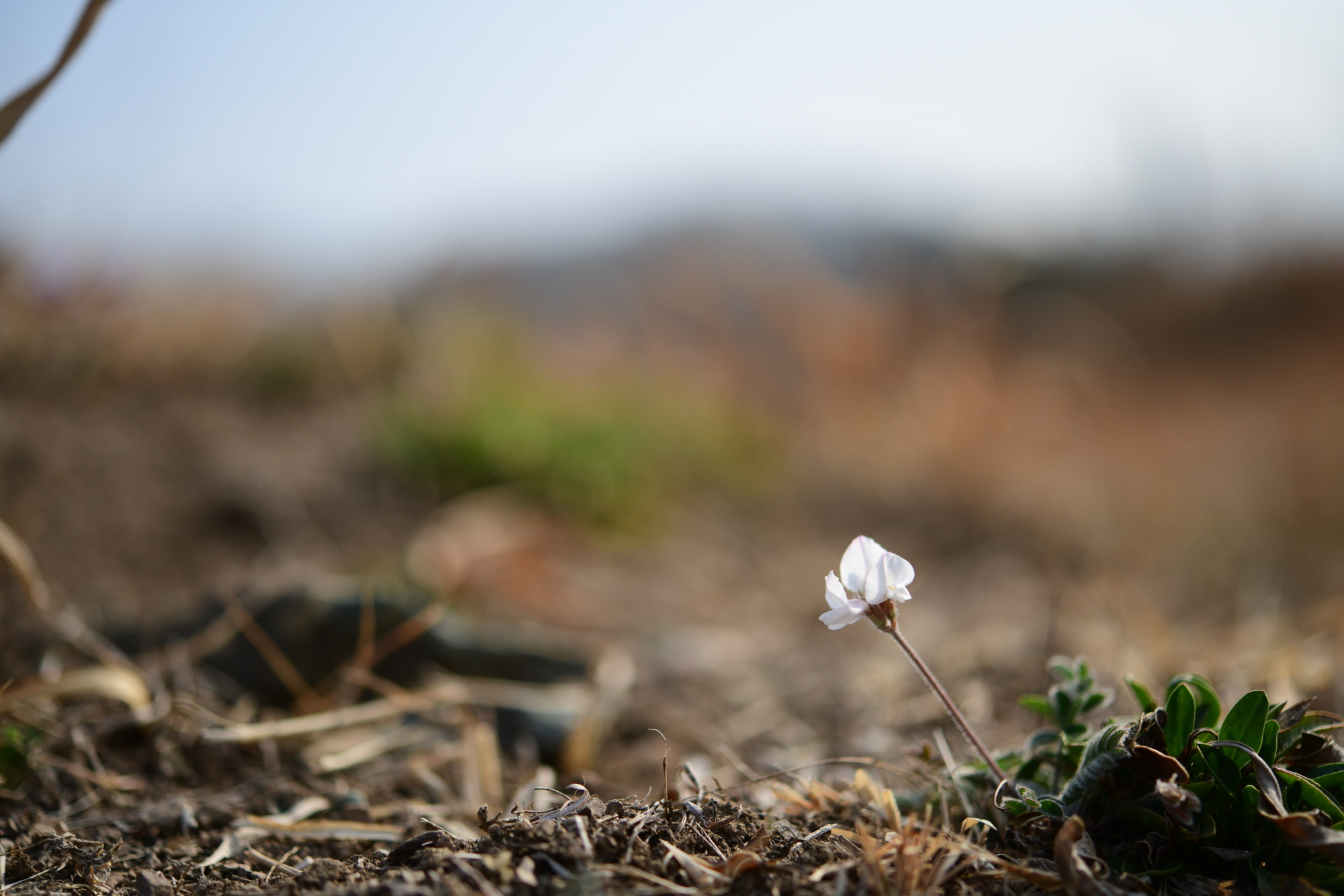 크기변환_DSC_8662.JPG
