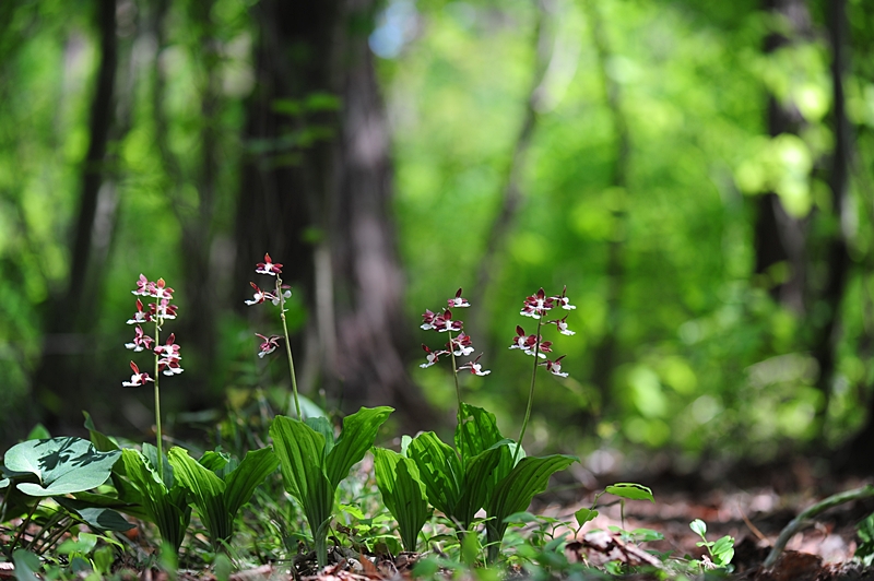100516_146_01.JPG