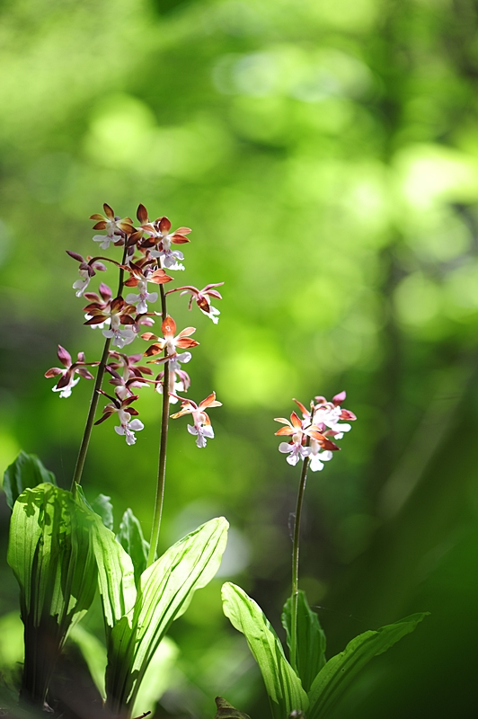 100516_150_01.JPG