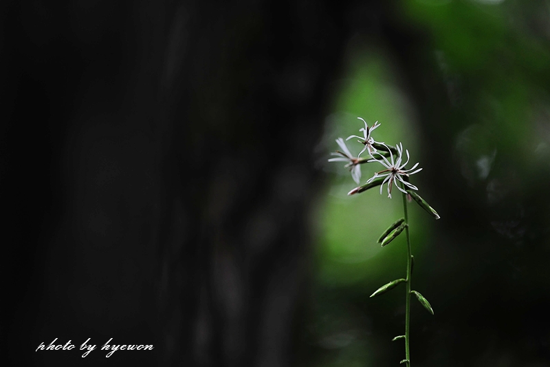 DSC_8376.jpg