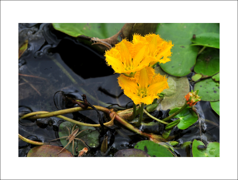 DSC_2292.jpg