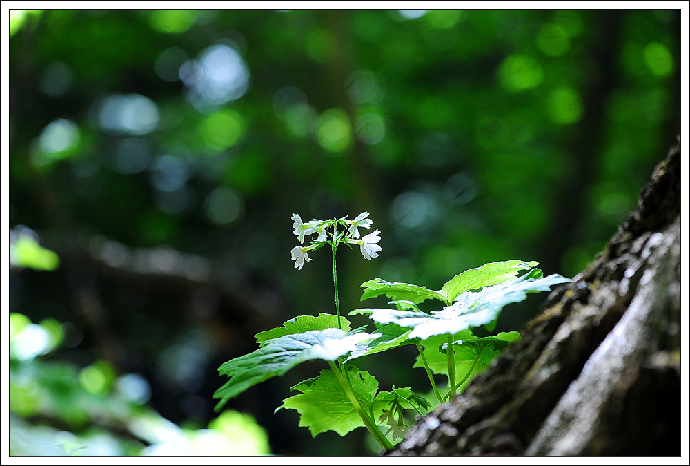 DSC_3048.jpg
