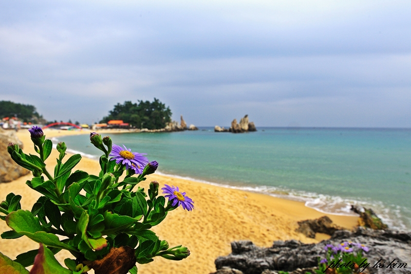 DSC_1142a.jpg