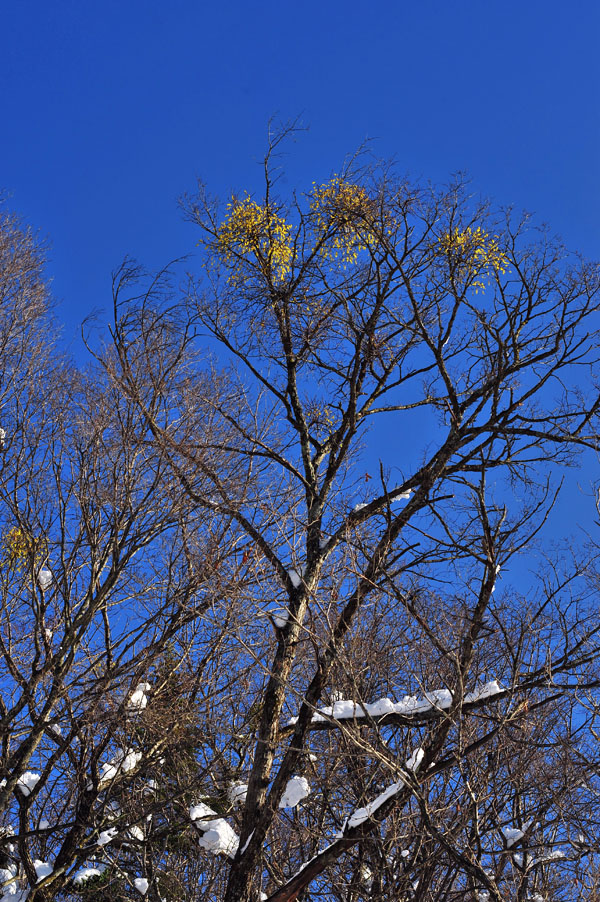 20111211_0079-1.jpg