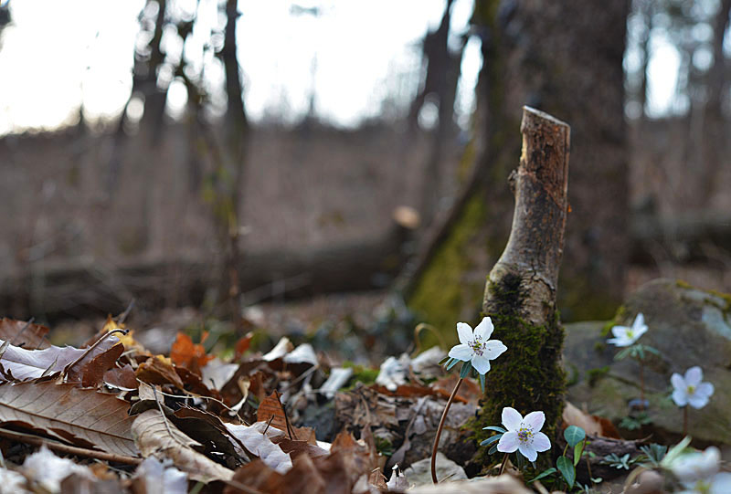 20130310_0051-1.jpg