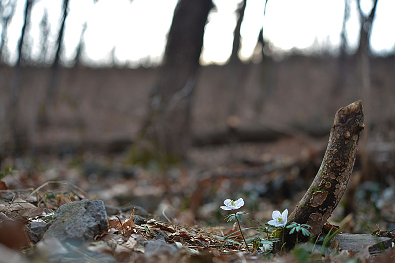 20130310_0045-1.jpg