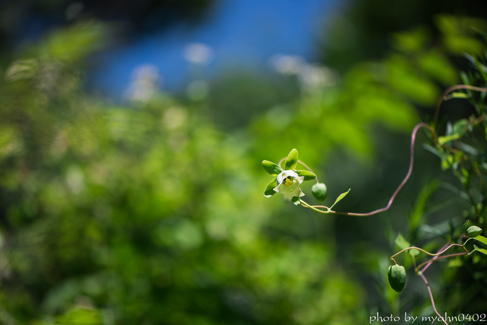 DSC_9594.jpg