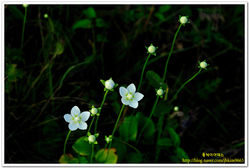 DSC_1723.jpg