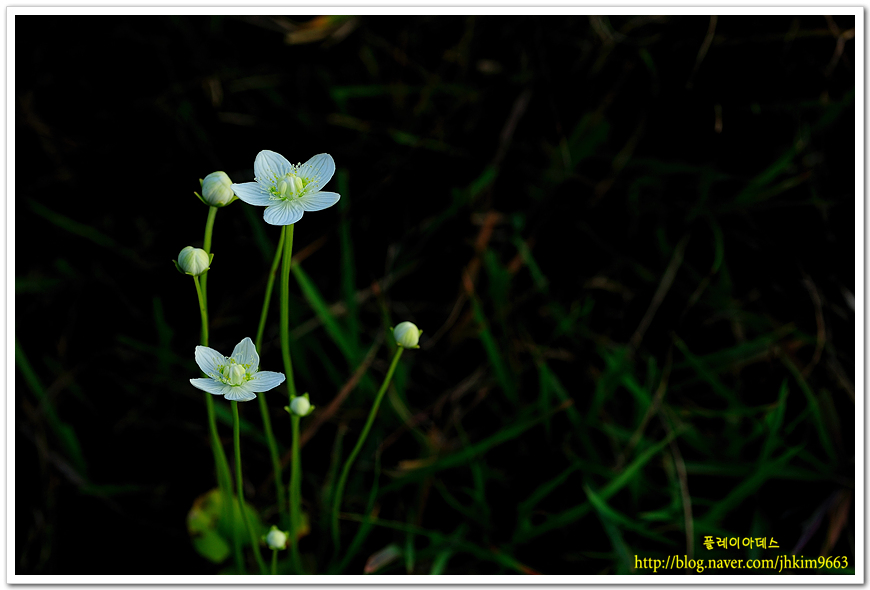 DSC_1718.jpg