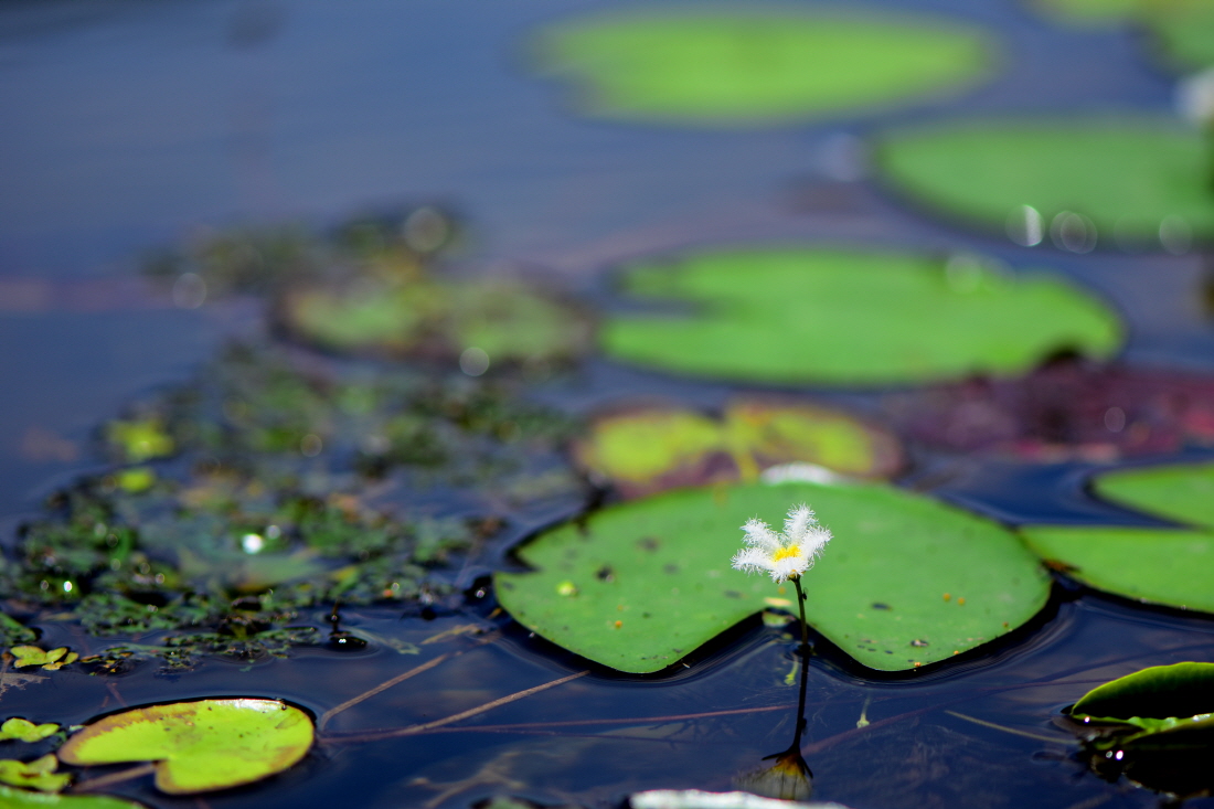 DSC_7709.JPG