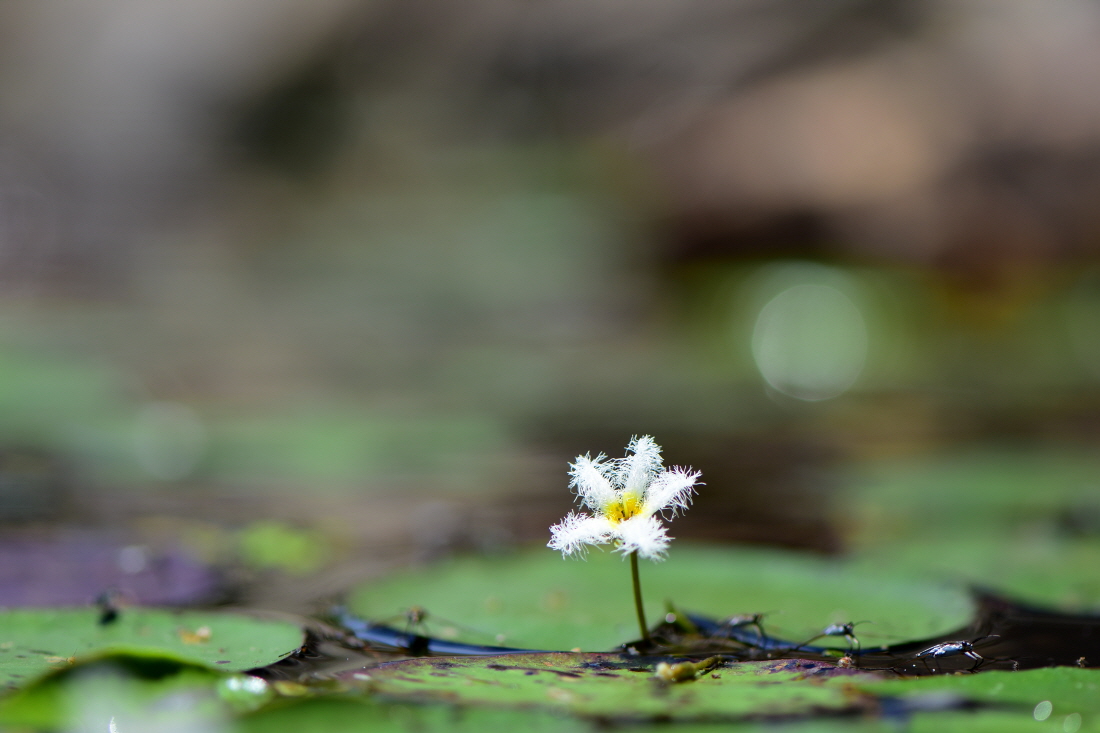 DSC_7645.JPG