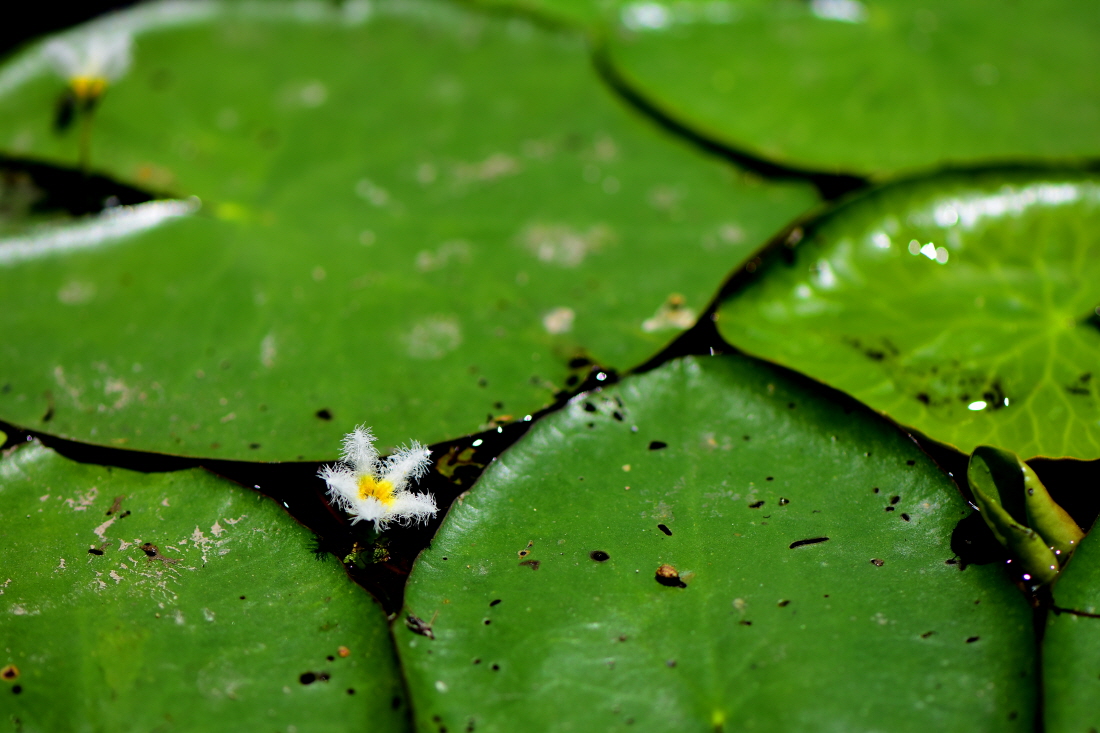 DSC_7595.JPG
