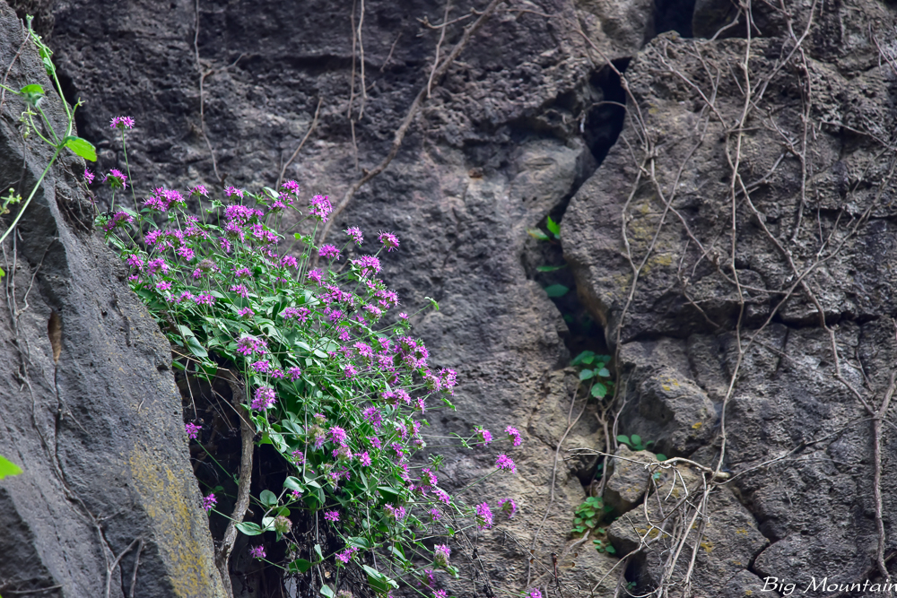 _DSC5757.jpg