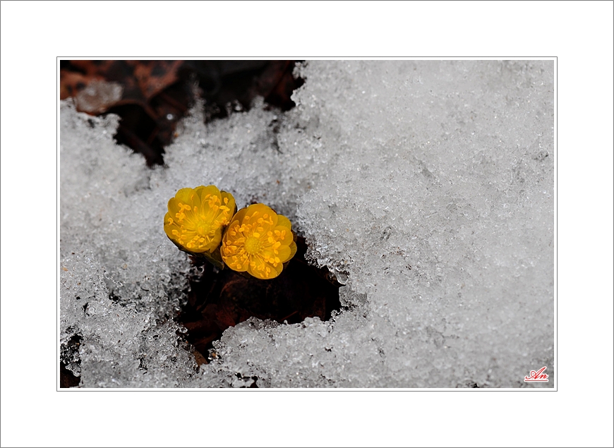DSC_092.JPG