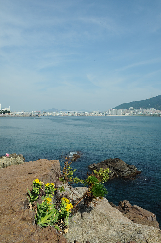 DSC_9961.jpg