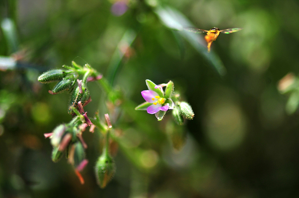 DSC_5471.jpg