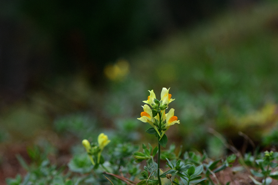 DSC_2831.JPG
