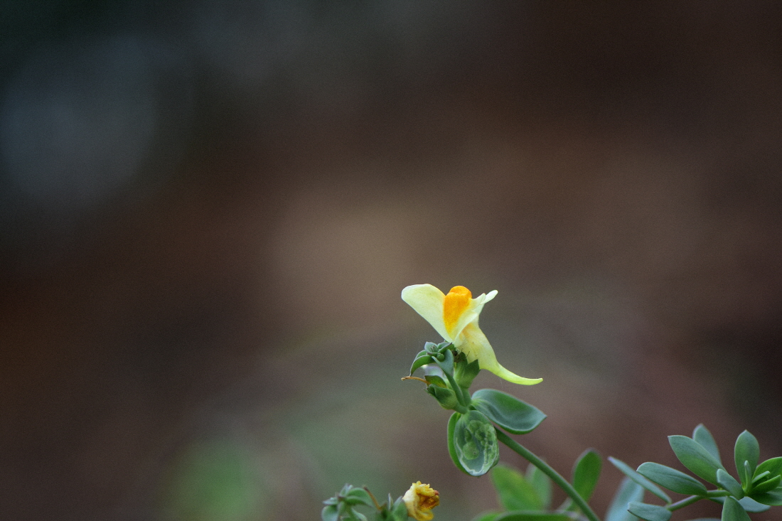 DSC_2882.JPG