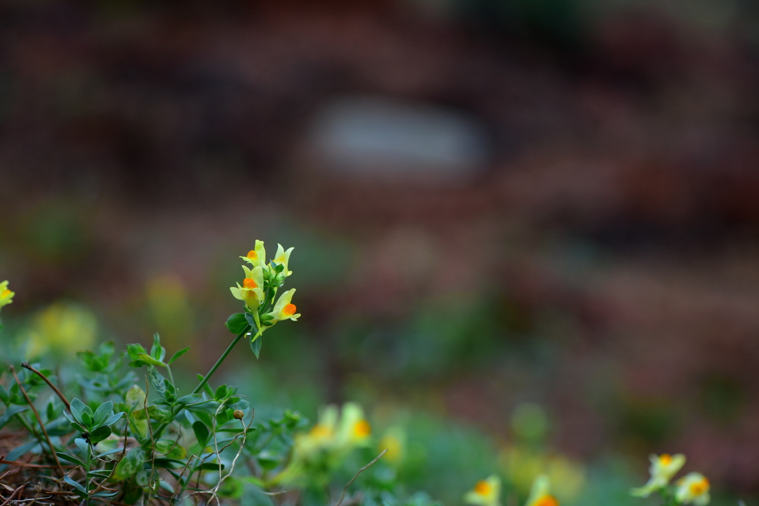DSC_2928.JPG