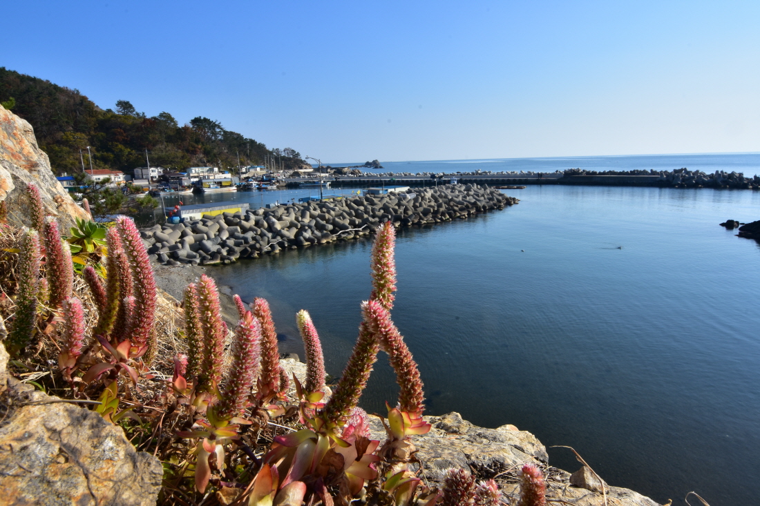 DSC_9659.JPG