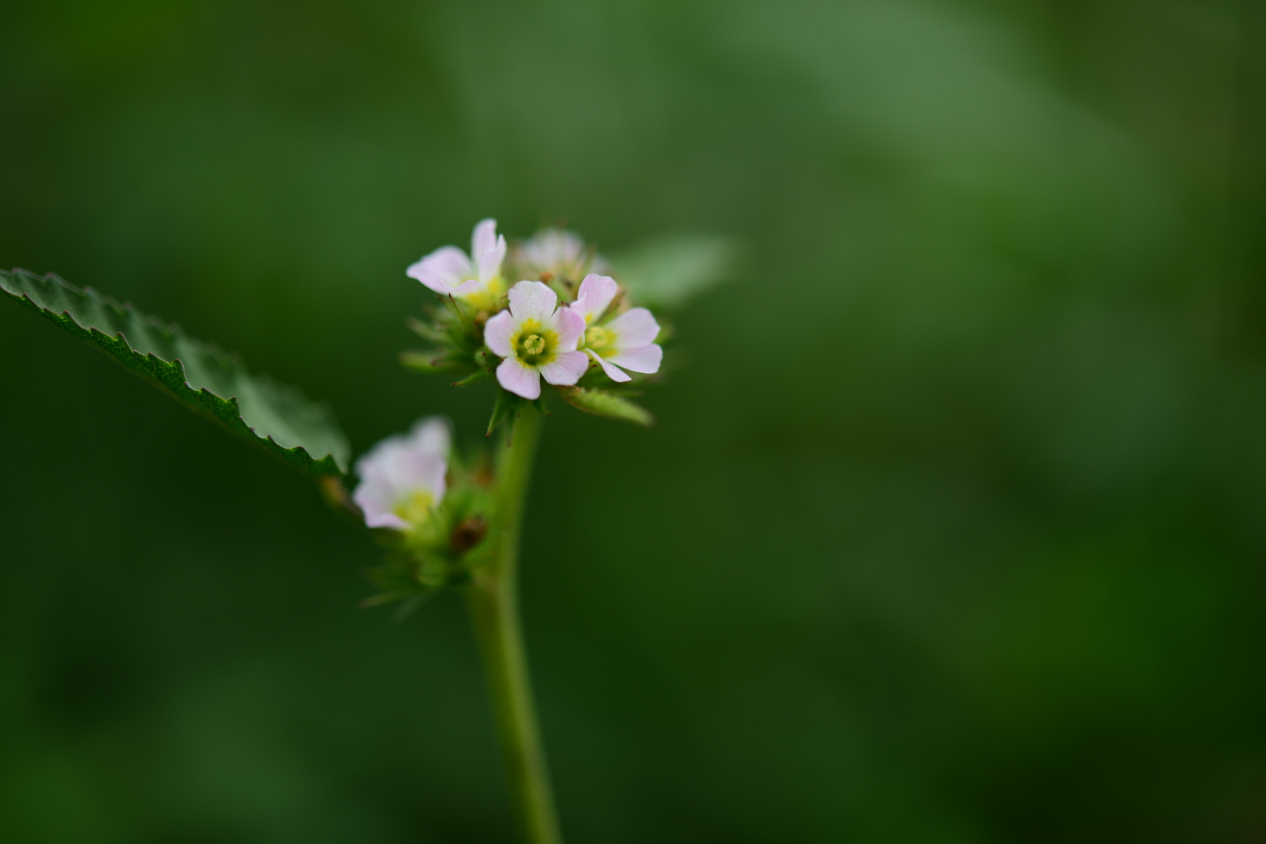 크기변환_DSC_2587.JPG