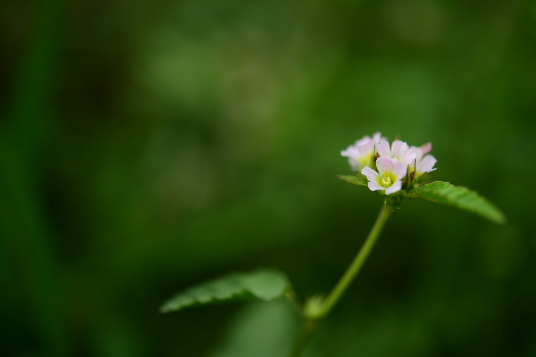 크기변환_DSC_2594.JPG