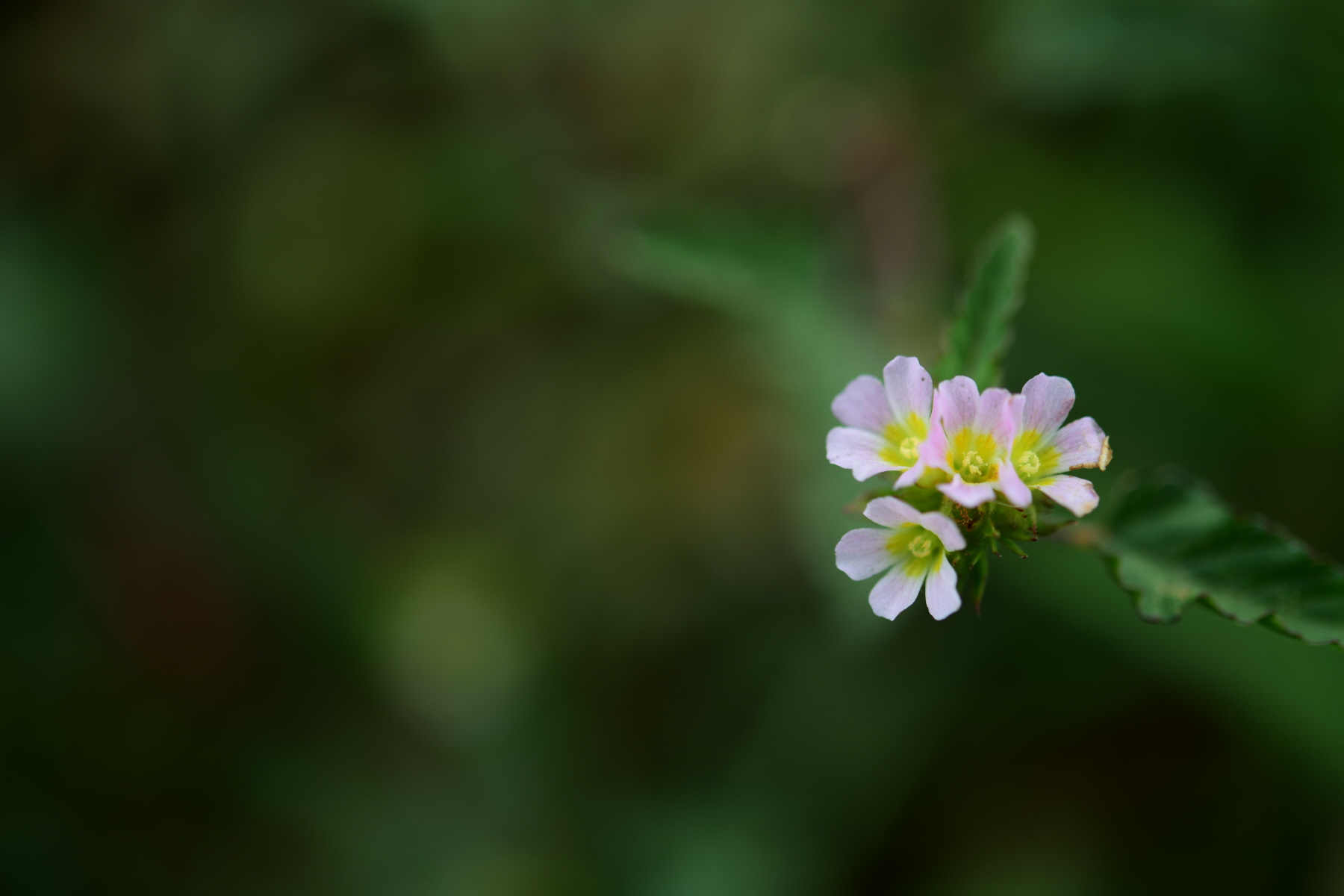 크기변환_DSC_2596.JPG