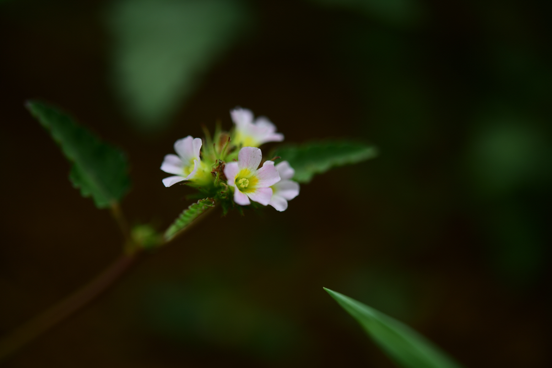 크기변환_DSC_2601.JPG