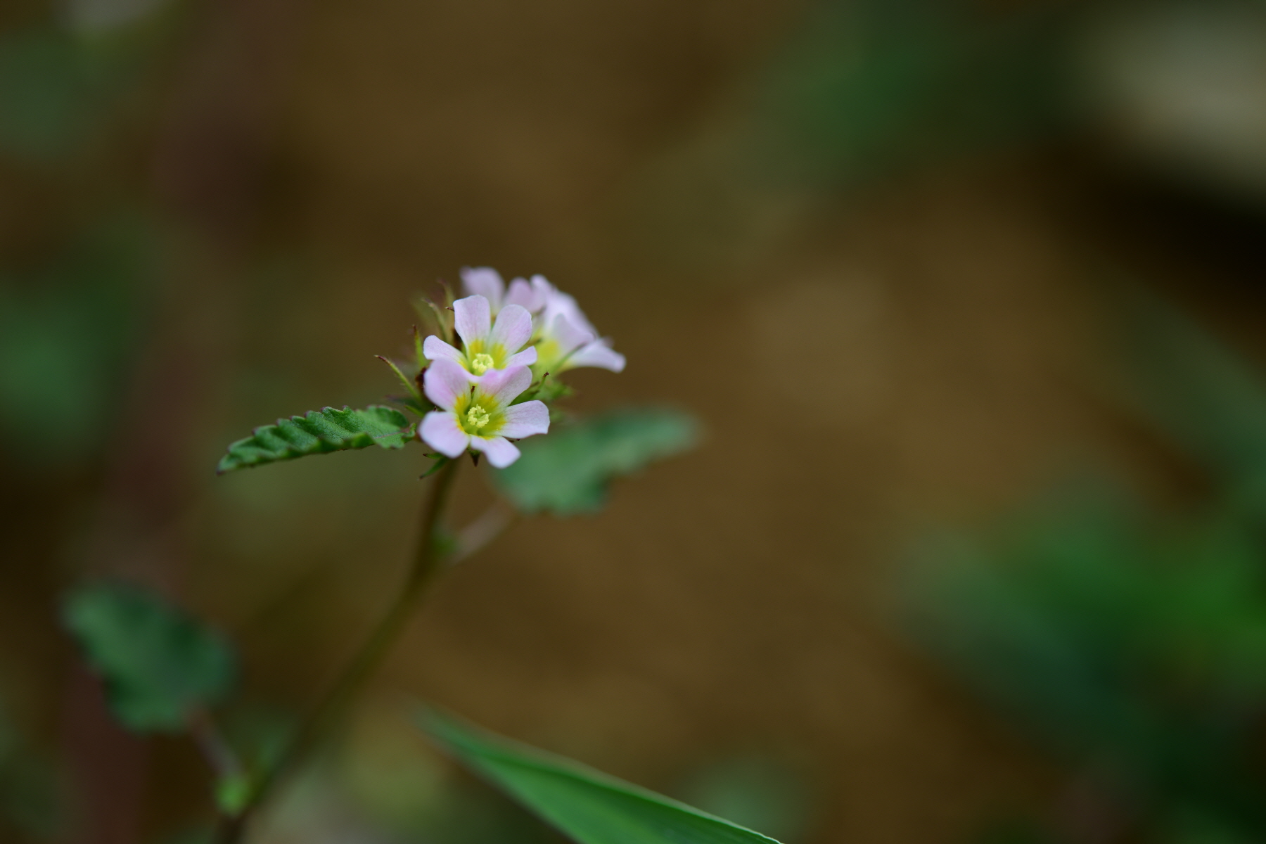 크기변환_DSC_2567.JPG