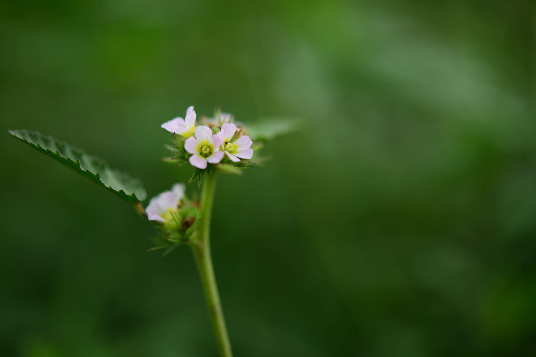 크기변환_DSC_2580.JPG