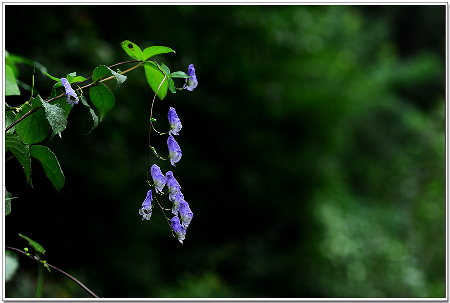 20100911_7589.jpg