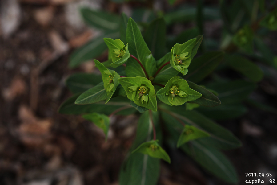 0403-6-4.jpg