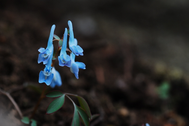 크기변환_DSC_0037.JPG